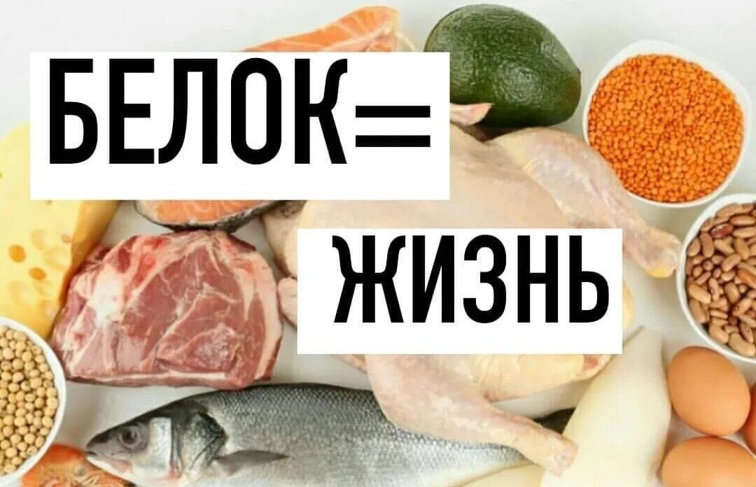 Белок = Жизнь