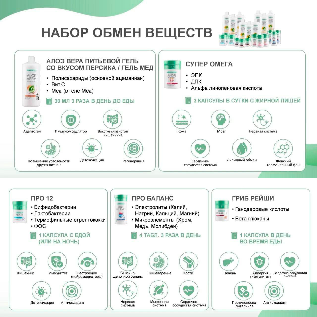 Набор Обмен веществ