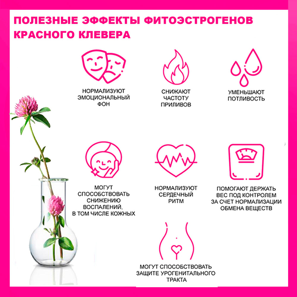 Полезные эффекты красного клевера